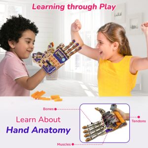 Smartivity Mechanical Hand Set Educational DIY Toy, Blue/beige - Image 2