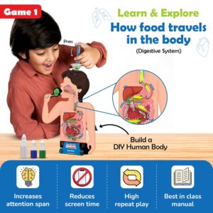 Smartivity Digestive System Working Model | Food Body & Nutrition STEM Toy for Kids 6-12 Years | DIY Human Body Science Kit with Food Cards & Diet Tracker | Educational Birthday Gift for Boys & Girls - Image 2