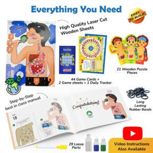Smartivity Digestive System Working Model | Food Body & Nutrition STEM Toy for Kids 6-12 Years | DIY Human Body Science Kit with Food Cards & Diet Tracker | Educational Birthday Gift for Boys & Girls - Image 4
